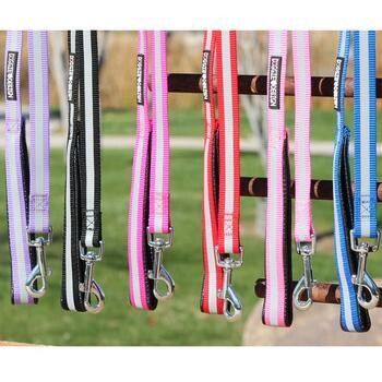 Reflective Nylon Leash with Soft Grip Handle - 3/4 in. Width x 5 ft. Length