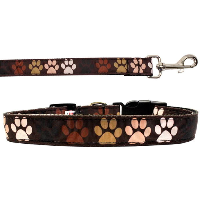 Dog Collar and Leash, &quot;Solidarity Paws&quot;