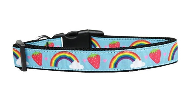 Dog &amp; Cat Nylon Collar and Leash, "Rainbows &amp; Berries"
