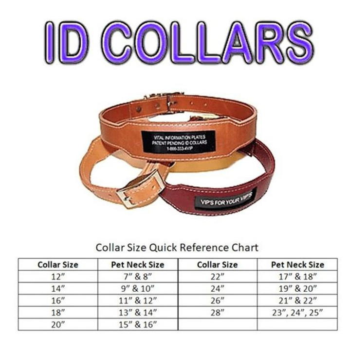 Personalize Heavy Duty Custom Leather Collar With Built In Nameplate