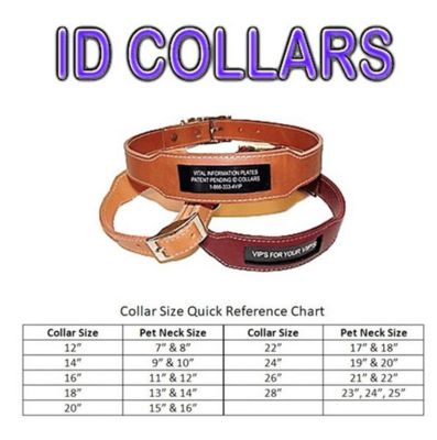 Personalize Heavy Duty Custom Leather Collar With Built In Nameplate