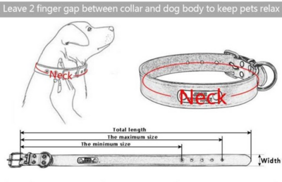 Custom BioThane® Dog Collars - Camouflage Hunting Collars for Dogs