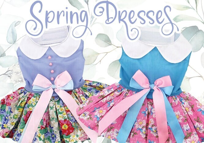 Spring Floral Dress with Matching Leash