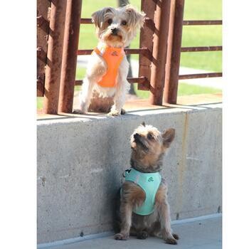 American Ultra Choke Free Cat &amp; Dog Harness Solid Colors