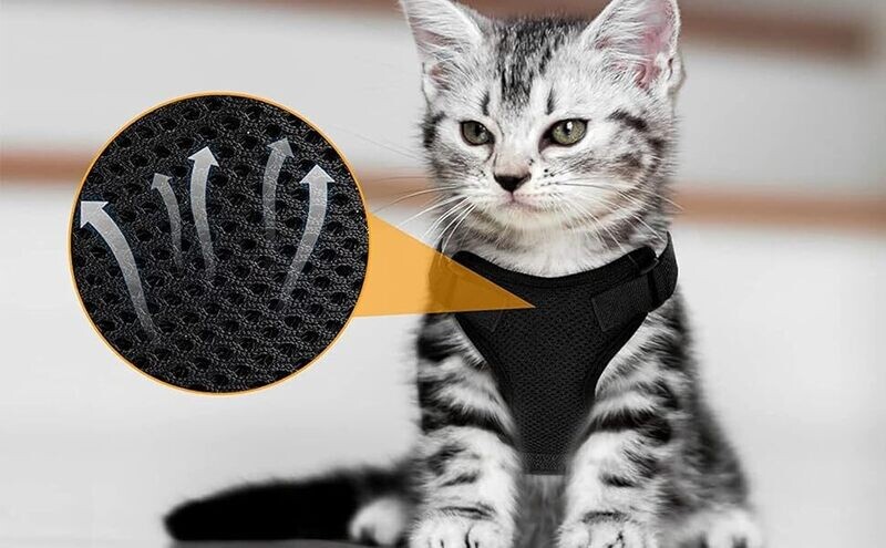 American Ultra Choke Free Cat &amp; Dog Harness Solid Colors