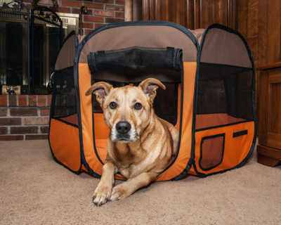 Pet Containment, Carriers, &amp; Beds