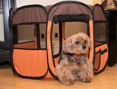 &quot;All-Terrain&quot; Lightweight Collapsible Travel Dog Playpen Crate