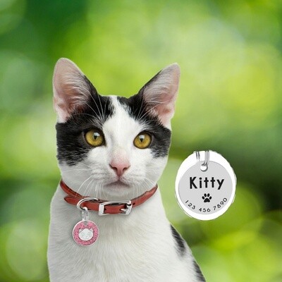 Cat ID Tags