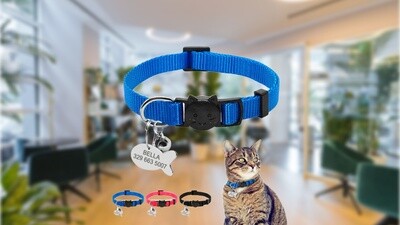 Cat Safety Collars &amp; Leads