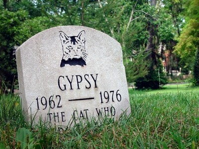 Cat Memorial