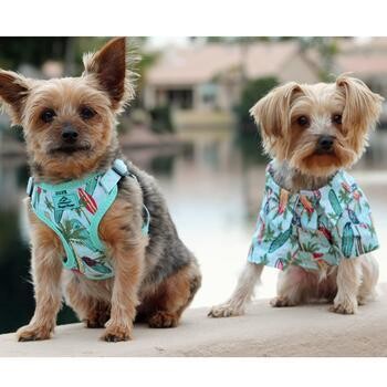 Hawaiian Camp Pet Shirt - Surfboards and Palms