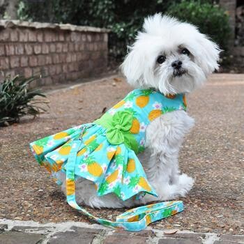 Dog Dress with Matching Leash - Pineapple Luau