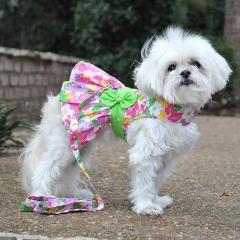 Dog Dress with Matching Leash - Pink Hawaiian Floral