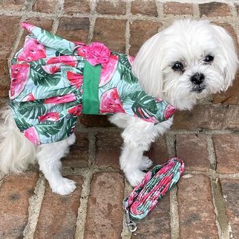 Dog Dress with Matching Leash - Juicy Watermelon