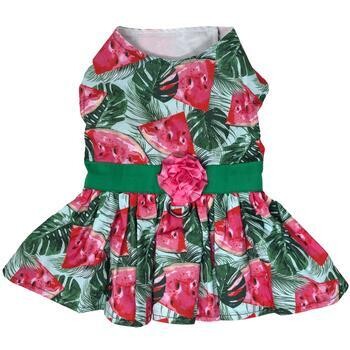 Dog Dress with Matching Leash - Juicy Watermelon
