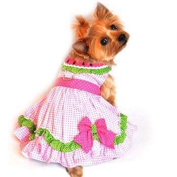 Dog Harness Dress with Matching Leash - Watermelon