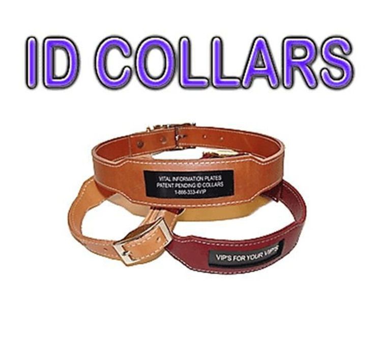Personalize Heavy Duty Custom Leather Collar With Built In Nameplate