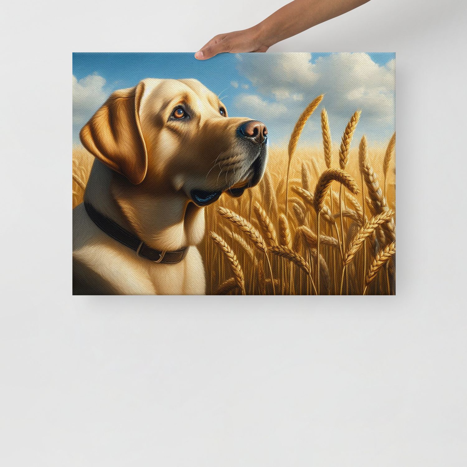 Canvas print Labrador