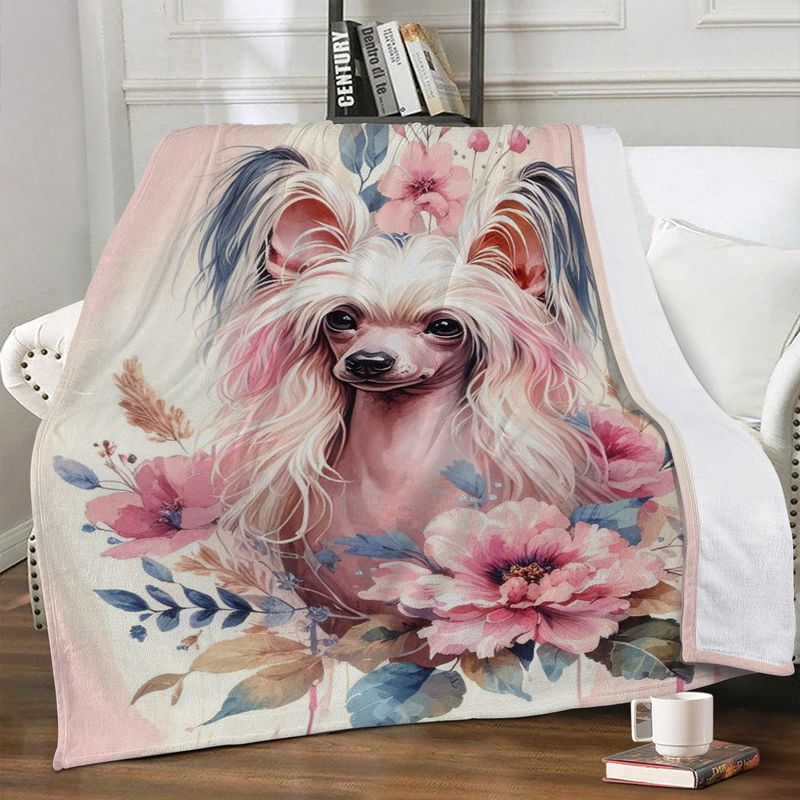 Adorable cuddly blanket with Chinese Crested dog