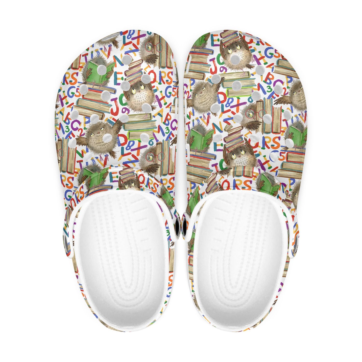 Colorful clogs - owls with books