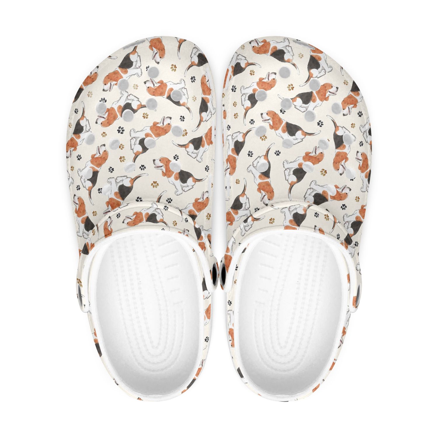Playful clogs - dogs Beagle