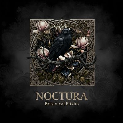 NOCTURA Collection
