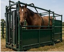Horse Handling
