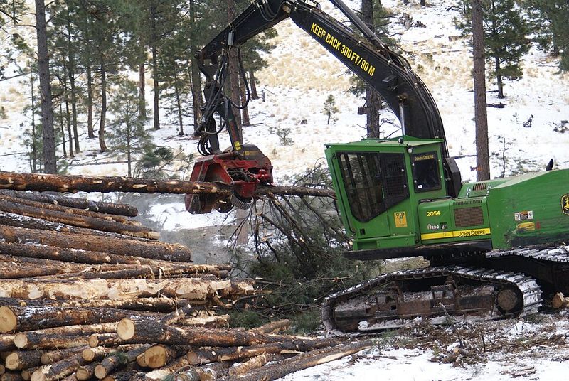 Forestry