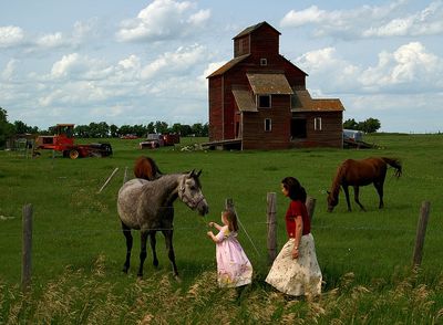 Farm Facility Packages