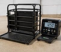 Scales &amp; Tracking
