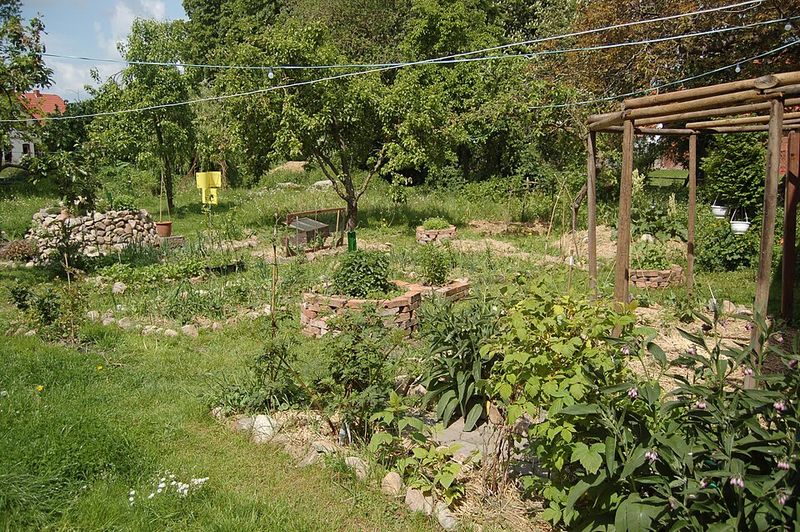 Permaculture Systems
