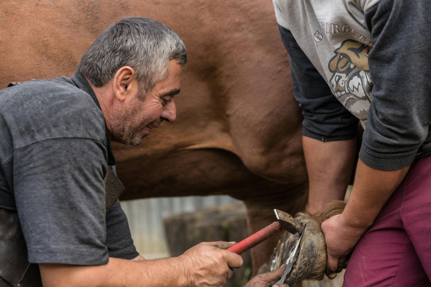 Hoof Care Tool Kit