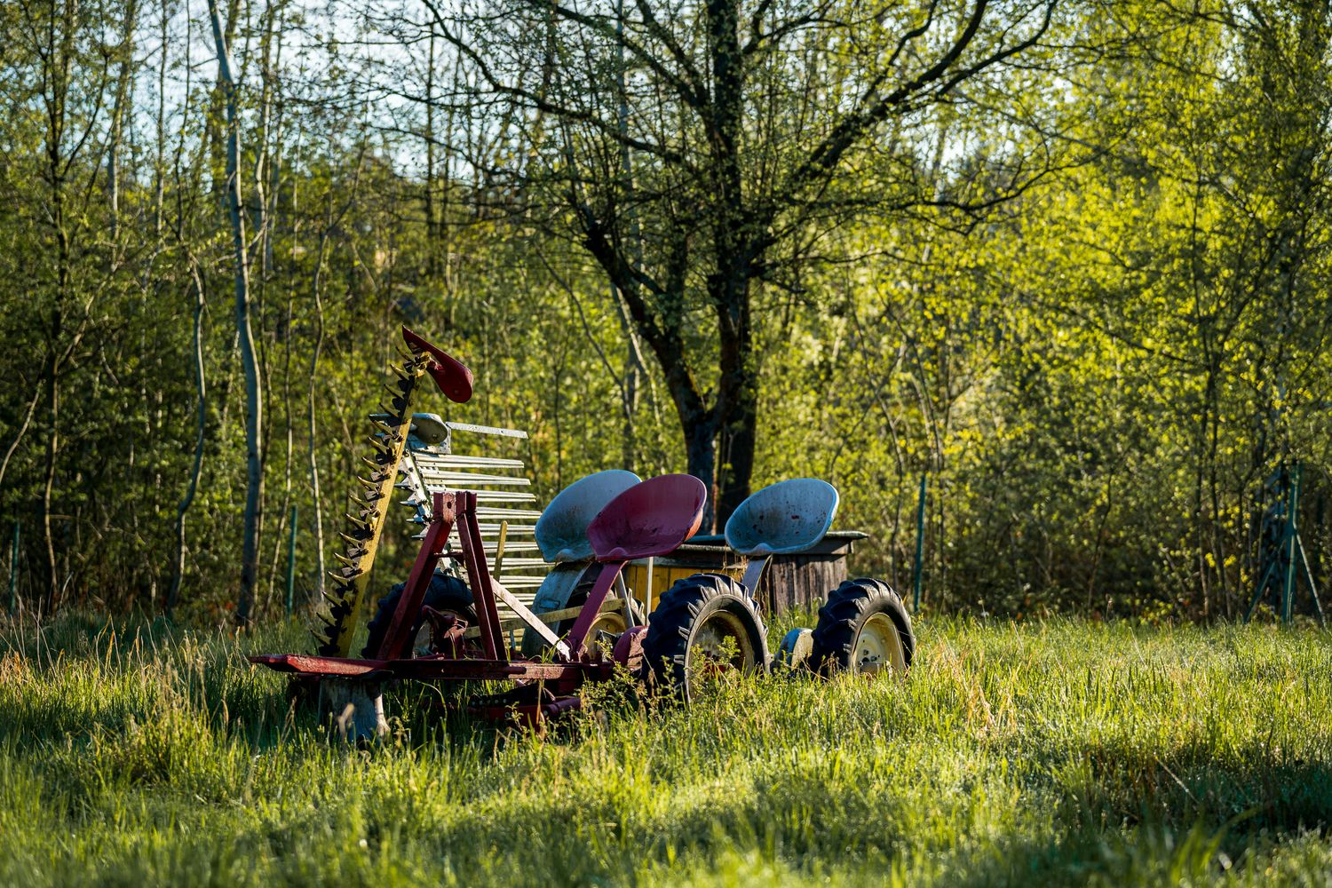 One Acre Agritourism Food Forest