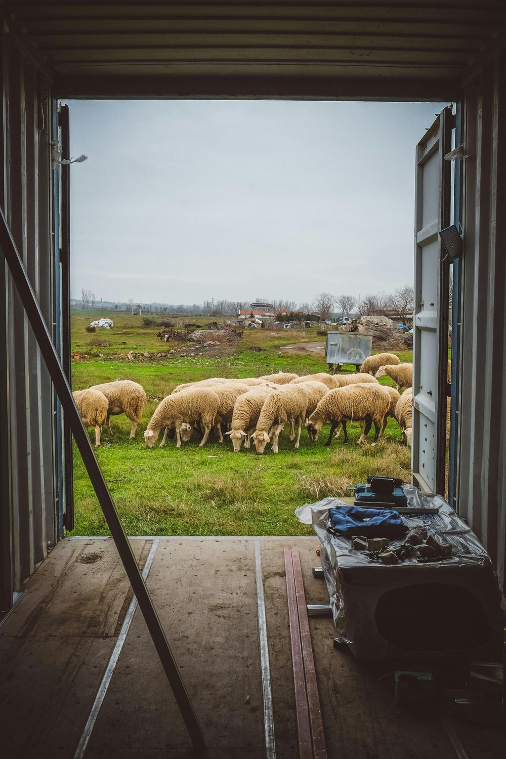 Sheep Vaccine Package — Farmer Surplus