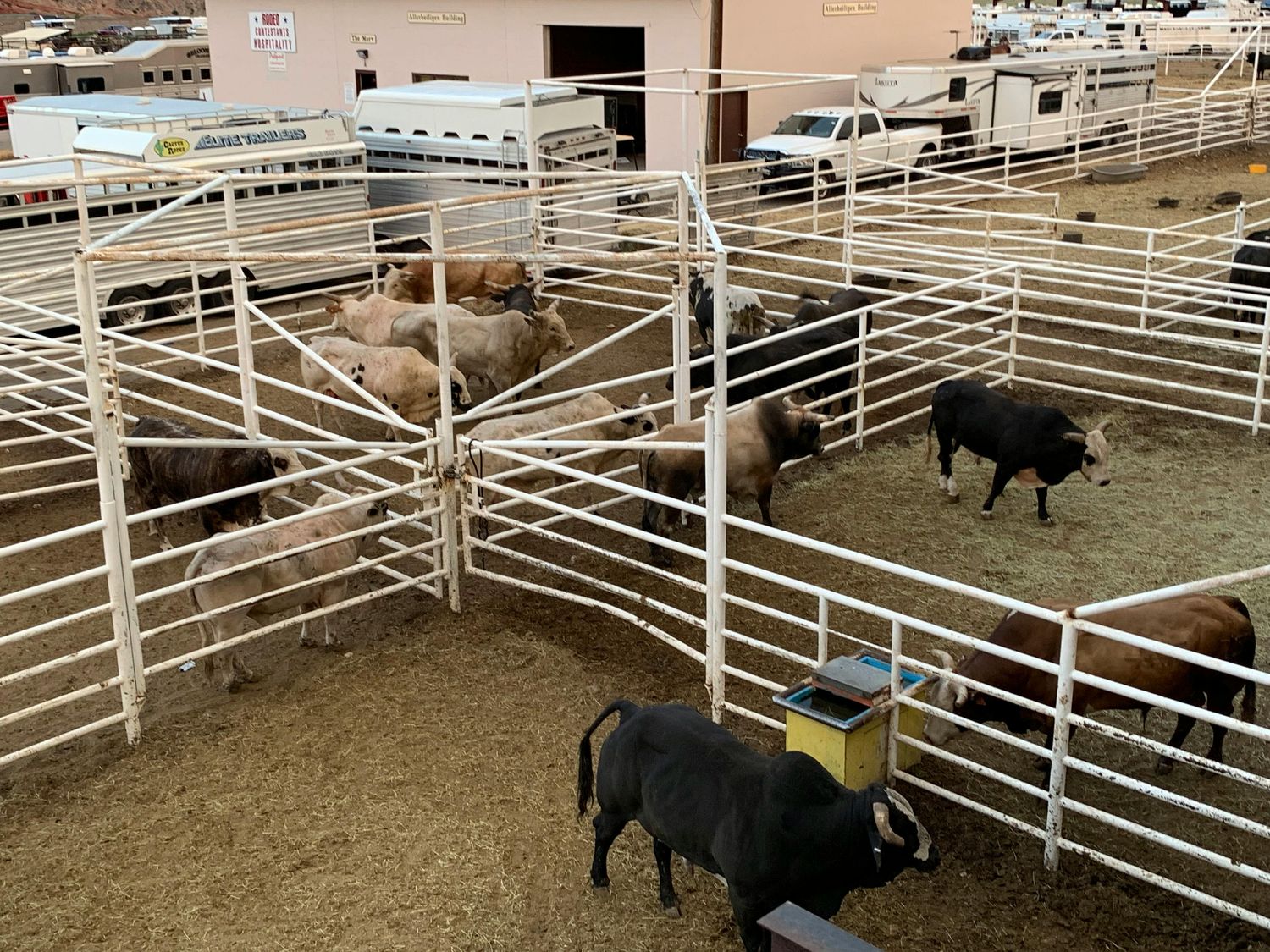 Large Portable Corral System — Farmer Surplus