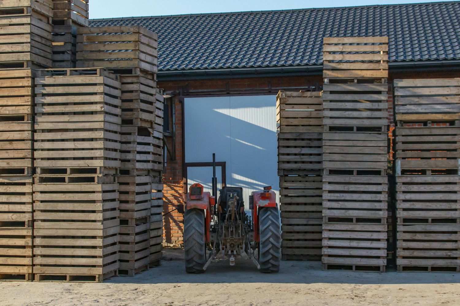 Loader Pallet Forks — Farmer Surplus