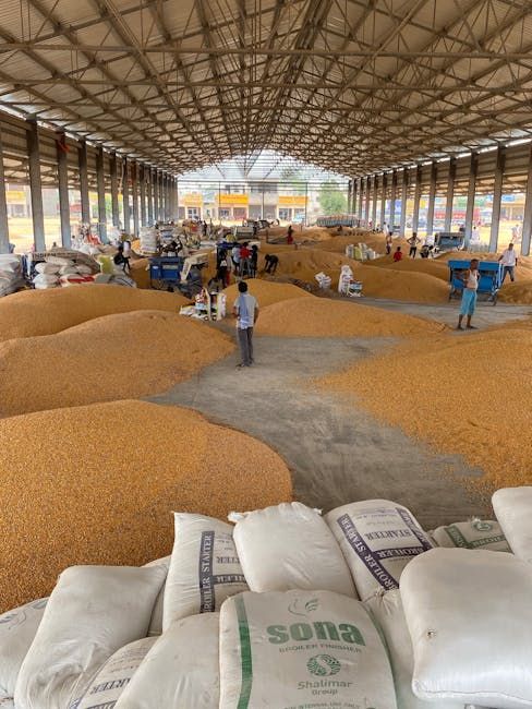 250x400x30 Large Distribution &amp; Storage Complex — Farmer Surplus