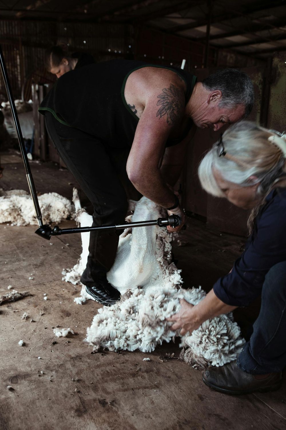 Shearing Stand — Farmer Surplus