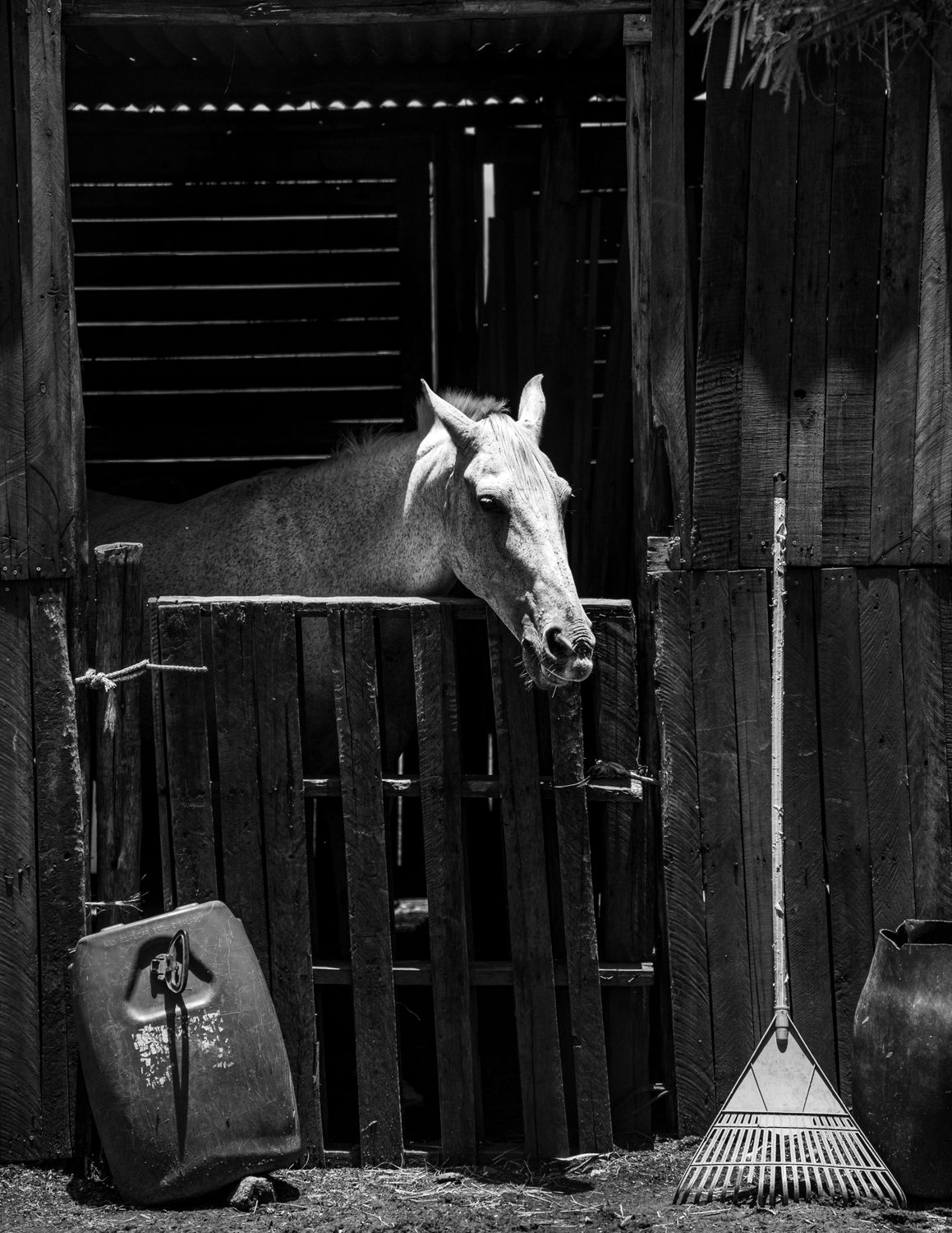 Horse Stall Front — Farmer Surplus