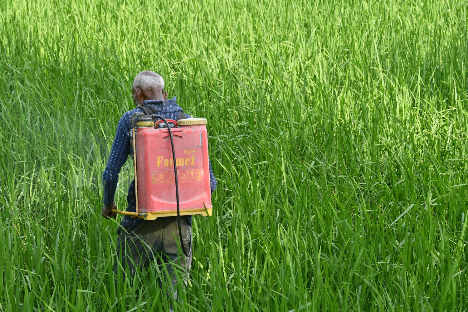 Fly Control Package — Farmer Surplus