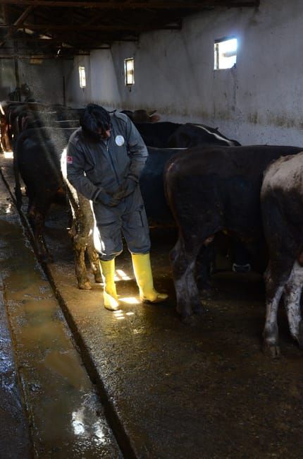 Boot Wash Station — Farmer Surplus
