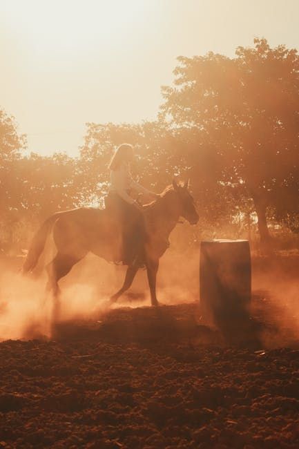 Barrel Horse Prospect — Farmer Surplus