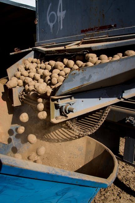 84 in Skeleton Rock Bucket — Farmer Surplus