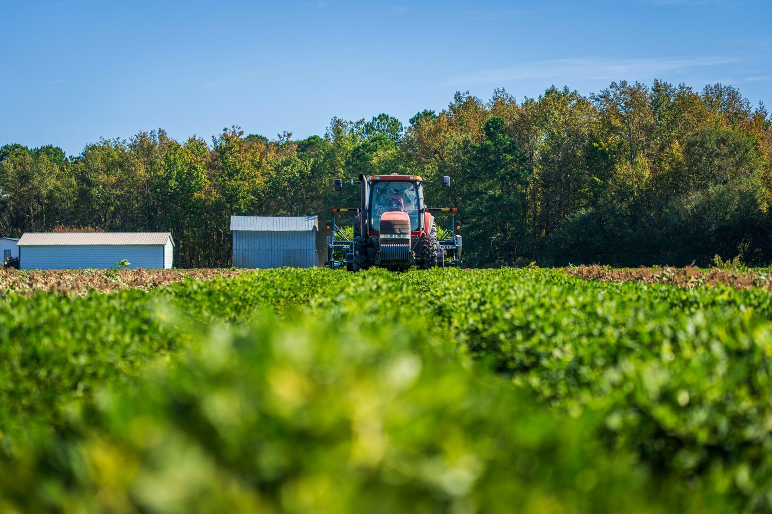 Multi-Business Commercial Ag Campus — Farmer Surplus