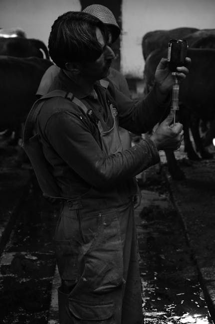 Cattle Vaccine Package — Farmer Surplus