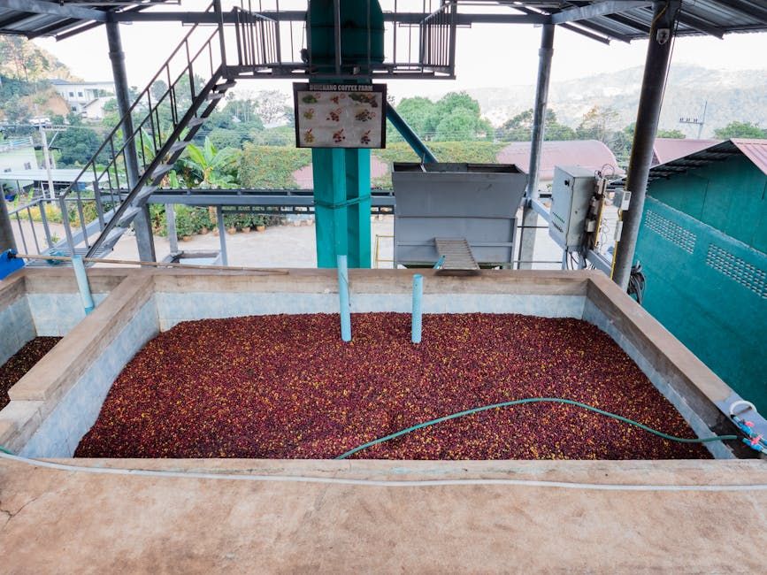 Commercial Food Processing Facility — Farmer Surplus