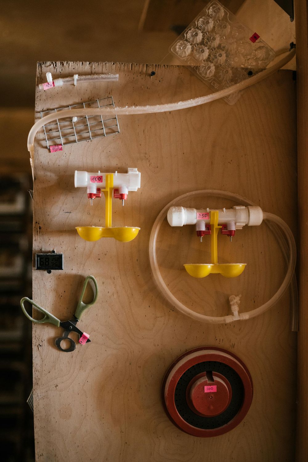 Ferret Healthcare Package — Farmer Surplus