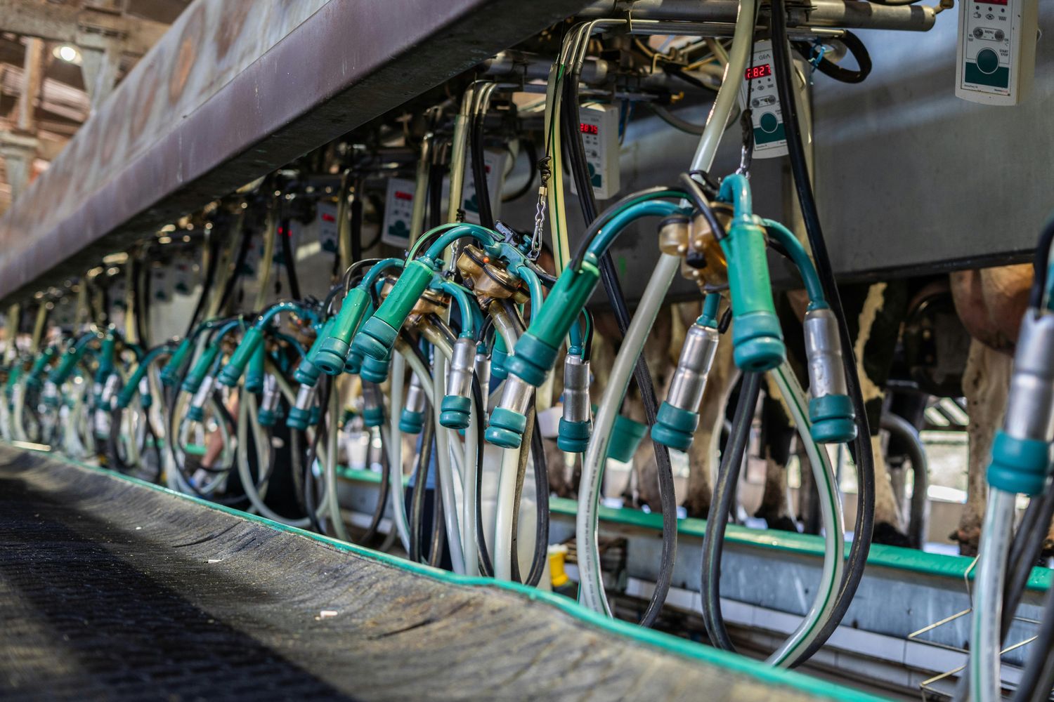 Industrial Refrigeration Service