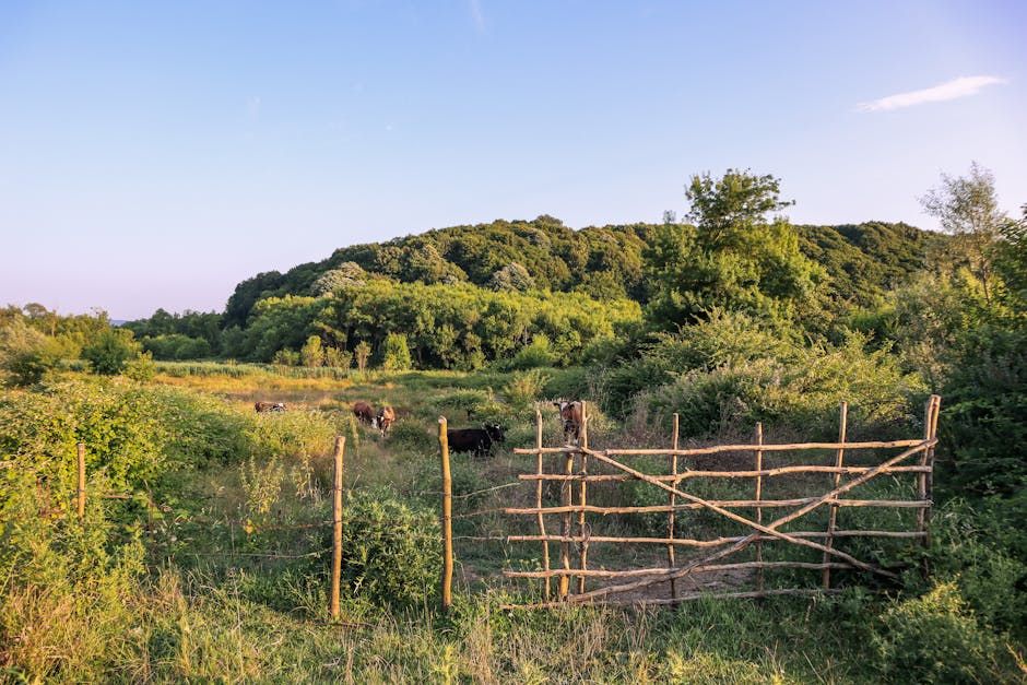 6 ft Cattle Gate — Farmer Surplus