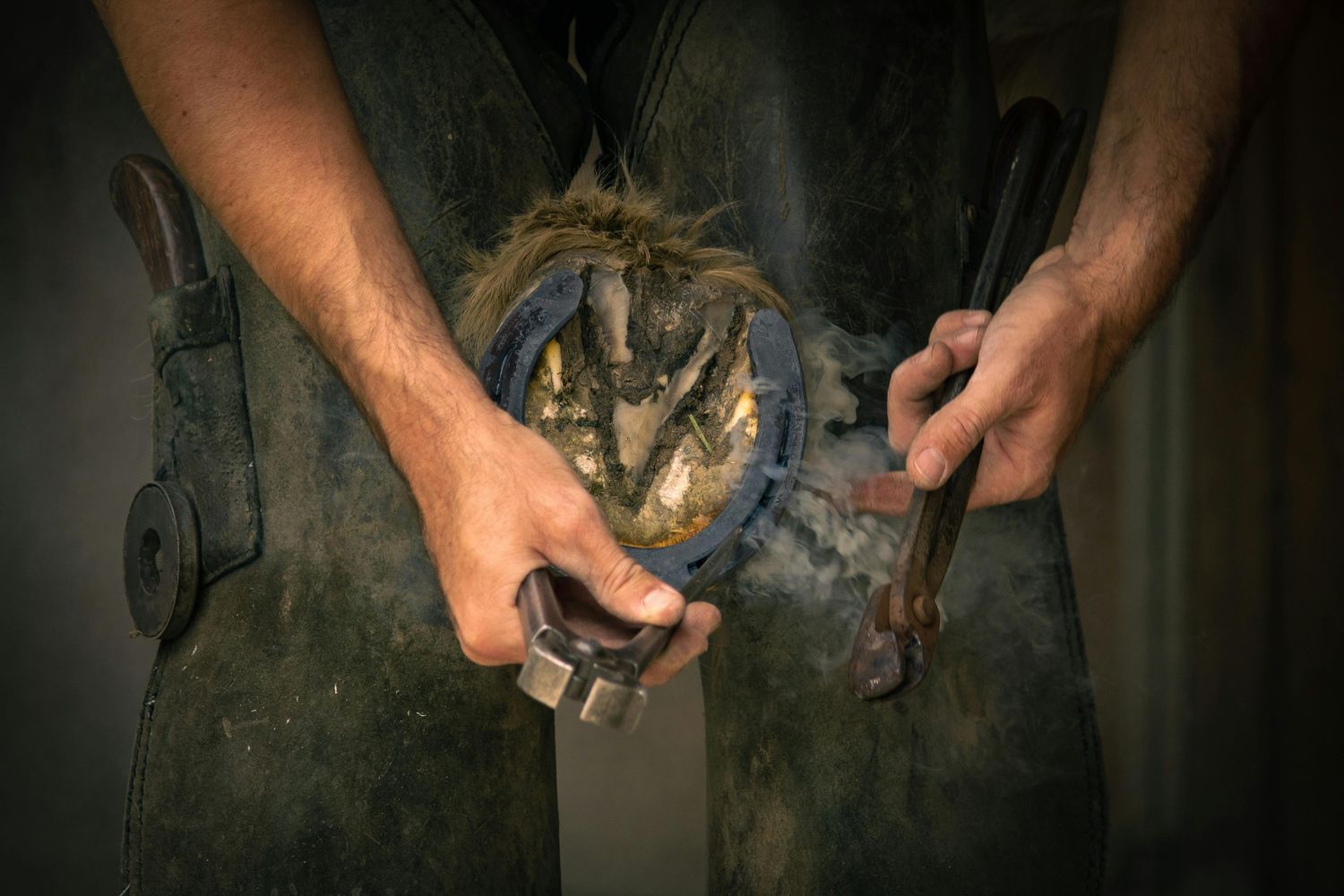 Hoof Trimming Tool Package — Farmer Surplus